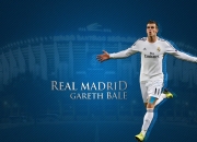 败北首场状态出色，热火观众沸腾！，塔图姆重返赛场观众掌声雷动(日落跌入昭昭星野全文)