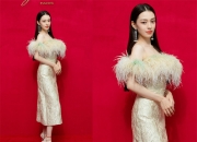 关于明星对阵，凤凰涅槃再度华丽亮相的信息